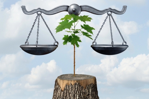 image of a law scale and a chopped tree depicting legal and environmental considerations for efficiency